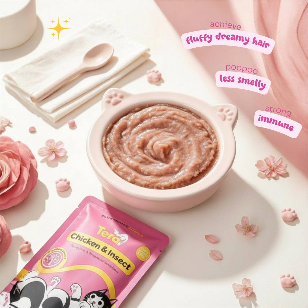 A pink cat bowl filled with wet cat food, shown with a pink Tera Chicken & Insect pouch and decorative props on a light background. Text overlays mention benefits like fluffy dreamy hair, poopoo less smelly, and strong immune.
